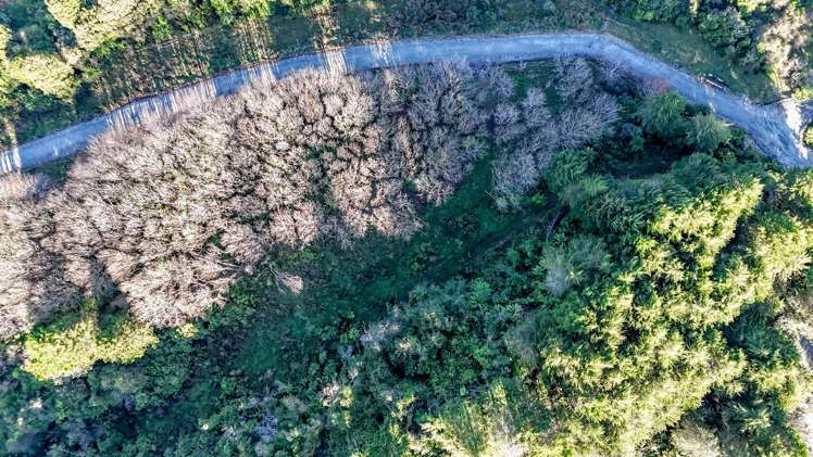 754 Rutherglen Road Greymouth_13