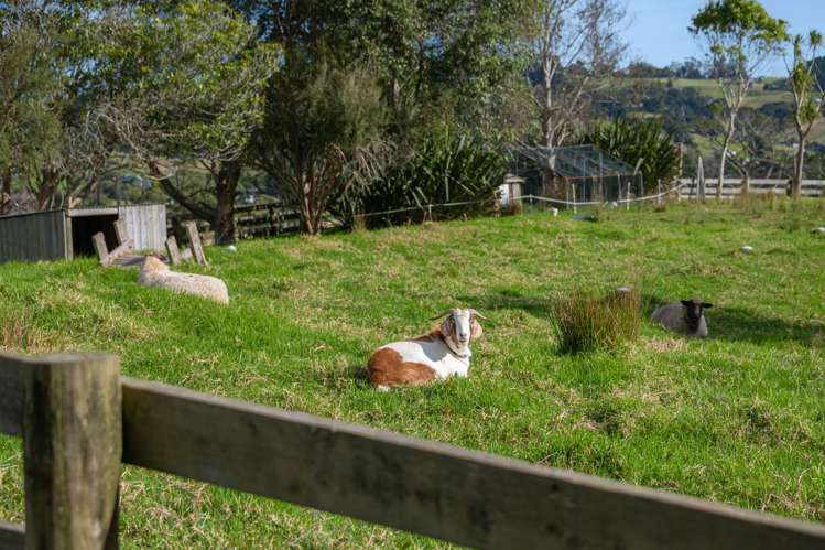 96 Dormer Road Kaukapakapa_5