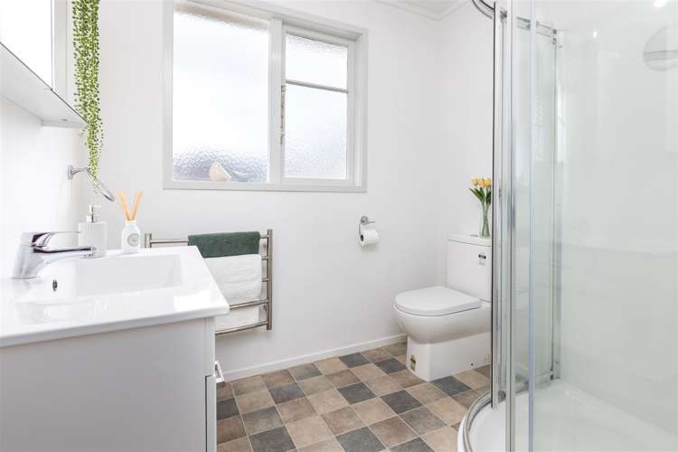 85 Havelock Street Renwick_13