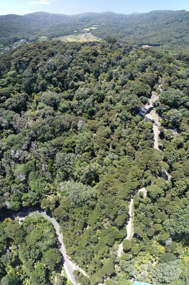 174 Shoal Bay Road Great Barrier Island (Tryphena)_3
