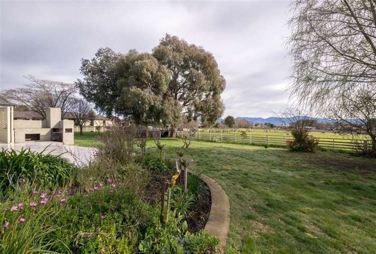 171 Wither Road Witherlea_30