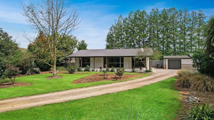 6 Moa Flat Road Ettrick_1