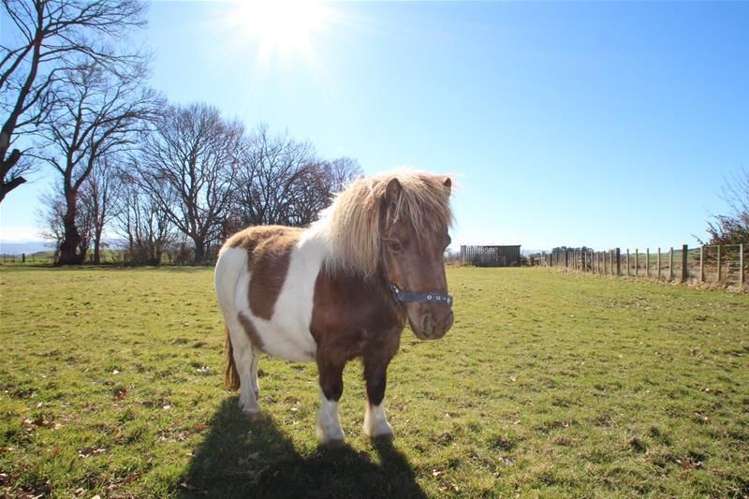 23 Kelso Road Gore Surrounds_20