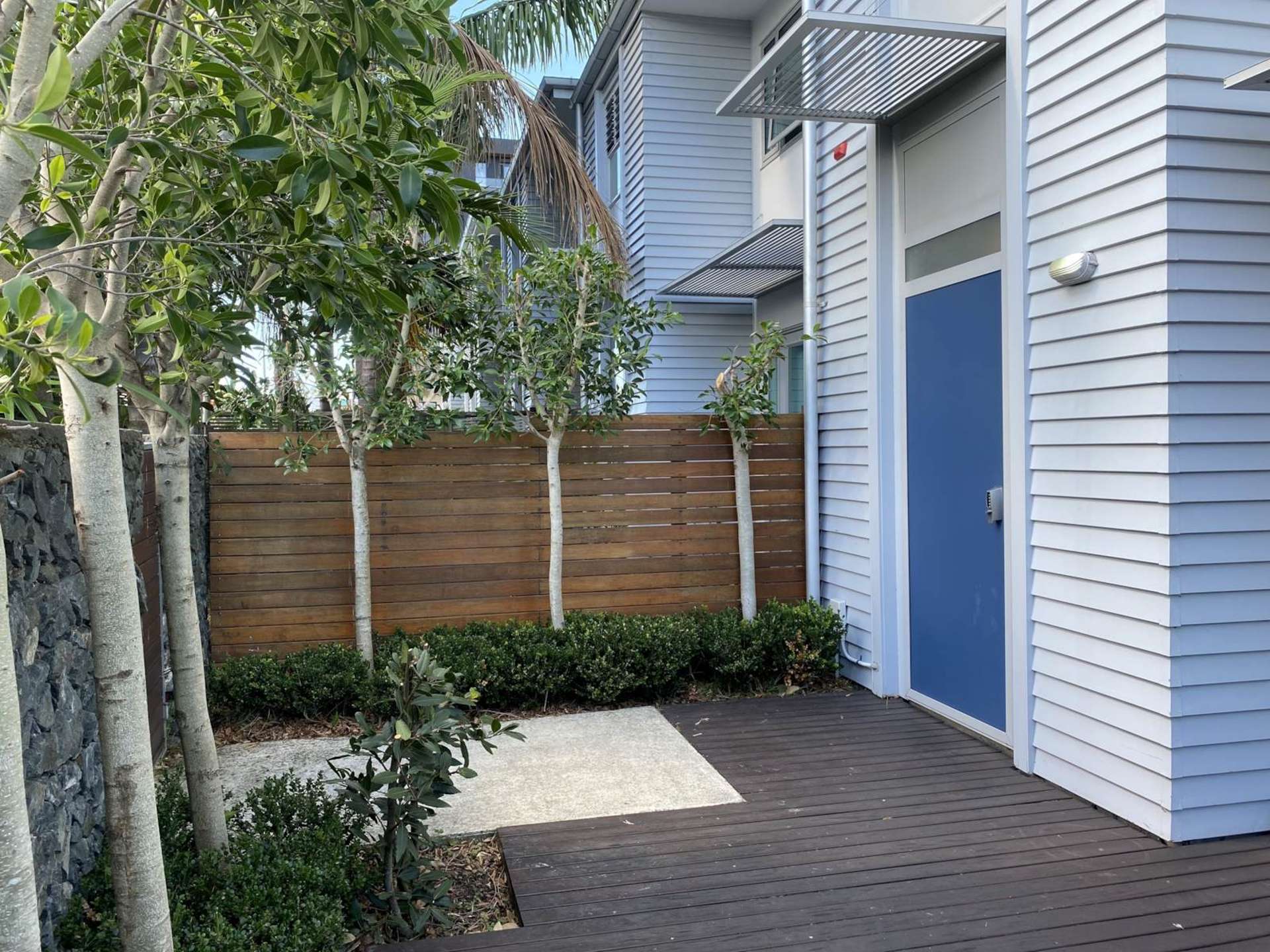 88A Anzac Street Takapuna North Shore City Houses for Rent One Roof