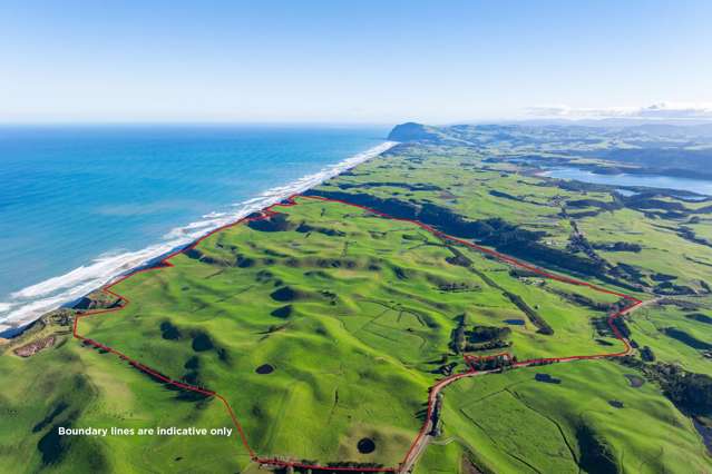 792 Omamari Road Dargaville_1