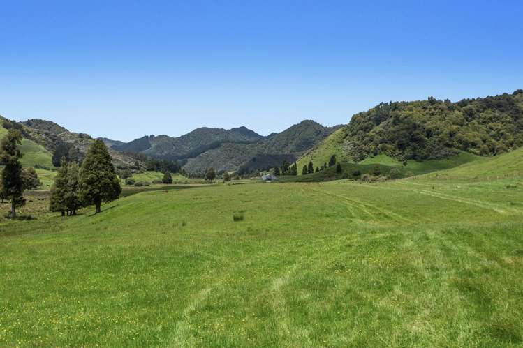 2060 Motu Road Opotiki_12