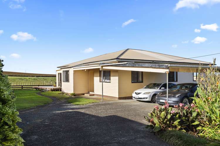 7 Punga Punga Road Pukekawa_5