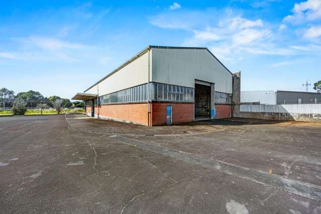 13 Spring Street Papatoetoe_2