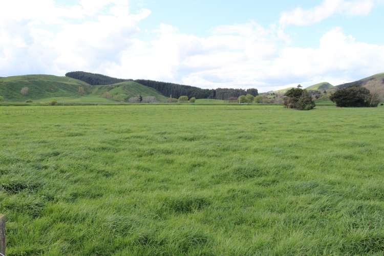 155 Bluff Road Pahiatua_6