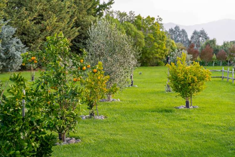 53 Andersons Line Carterton_21