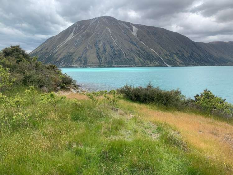 Lagoon Block, Ohau Downs Station Lake Ohau_21