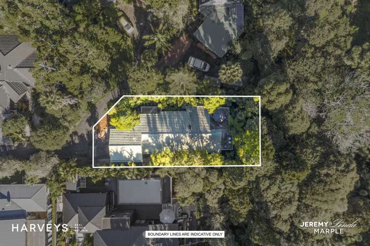 73h Konini Road Titirangi_18