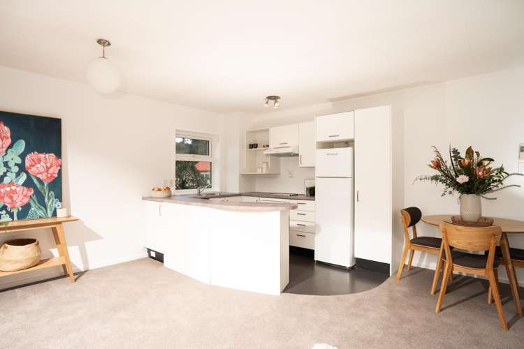 1/24 Patanga Crescent Thorndon_6