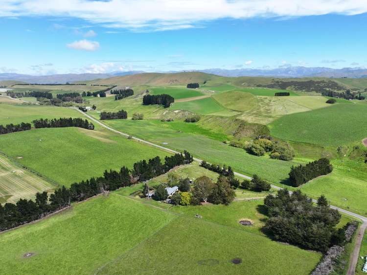 379 Pyramid Valley Road Pyramid Valley_26