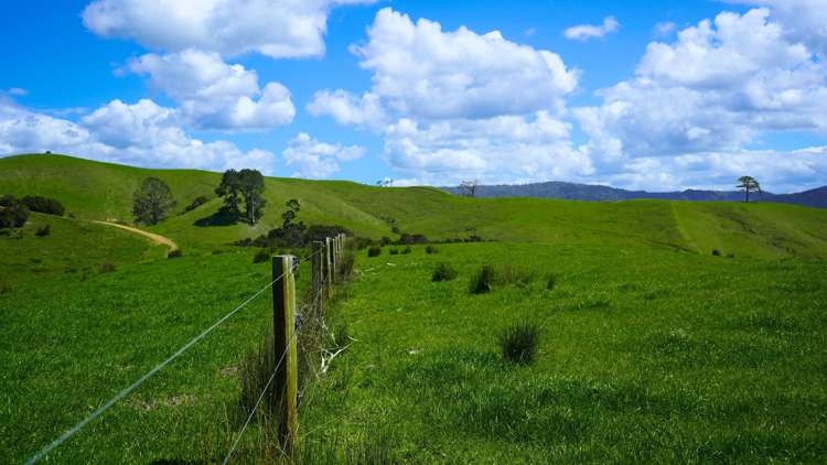 591D East Coast Road Kaiaua_8