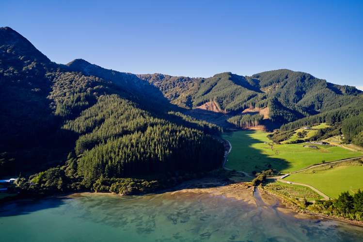 Crail Bay Kenepuru Sound_15