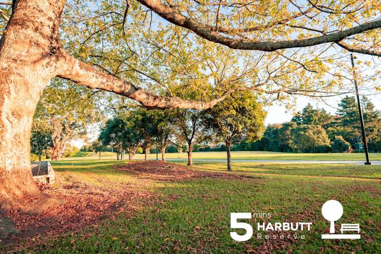 2b Cradock Street Avondale_27