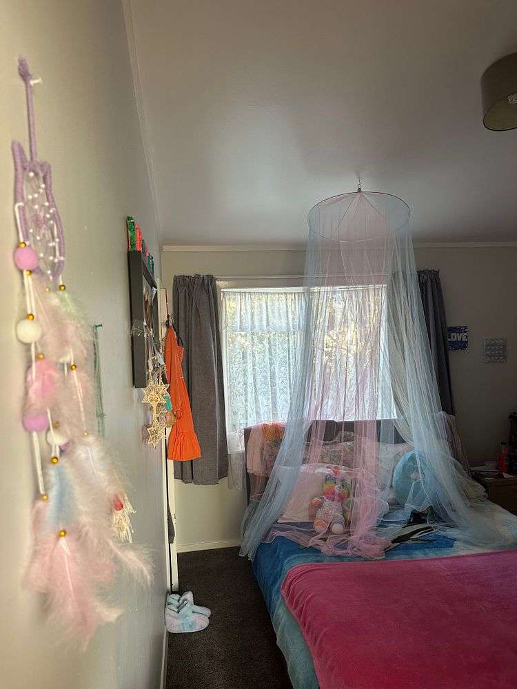 66 Hereford Street Cannons Creek_6