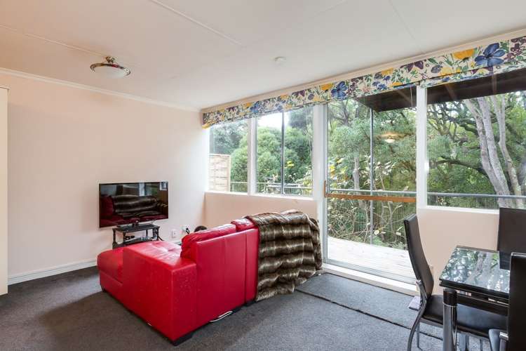 17 Kinvig Street Andersons Bay_17