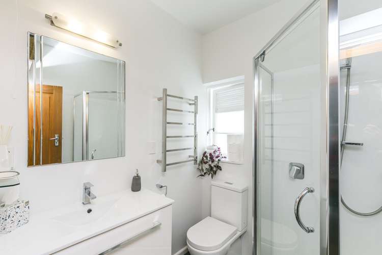 8/4 Oak Park Avenue Te Aro_7