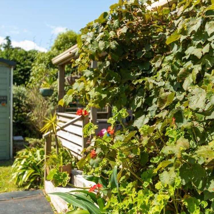 121A Princes Street Waikino_11