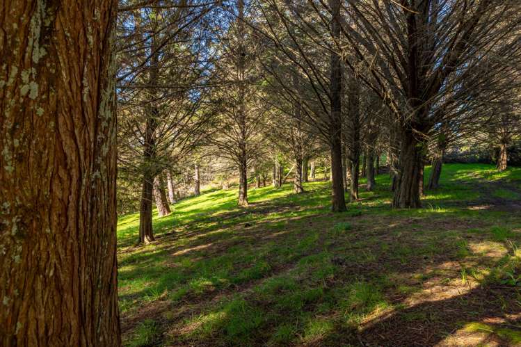 240 George Harvey Road Upper Moutere_32