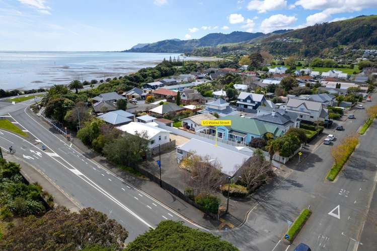 1/1 Wainui Street The Wood_1