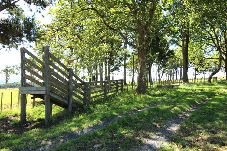 425 Murray Road Pukekawa_16