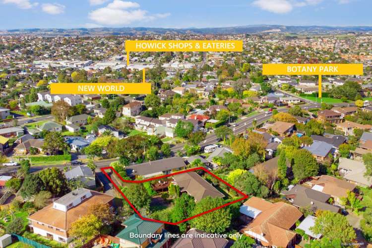 41 Botany Road Botany Downs_25