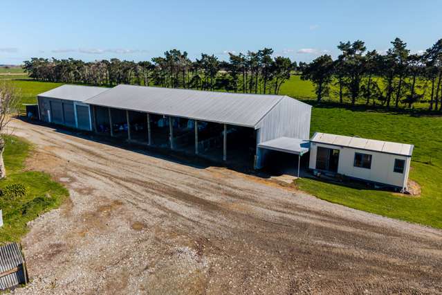 1040 Roberts Line Bunnythorpe_4