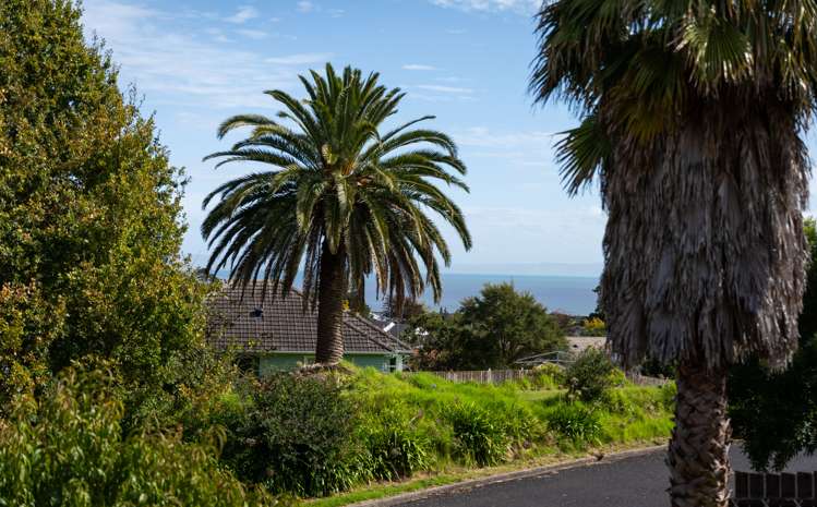 200 Danby Street Thames_26