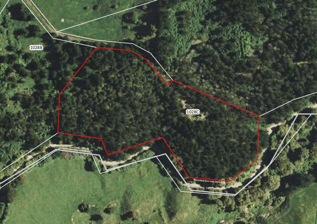 1028 A,B,C McIvor Road Rotoma_3