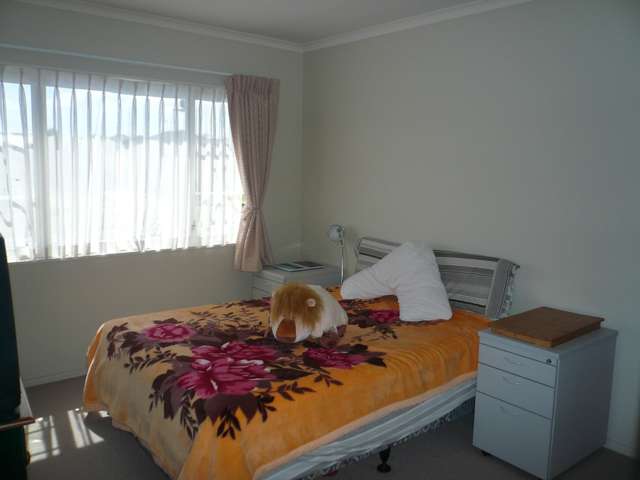 321 Chapel Road Flat Bush_3