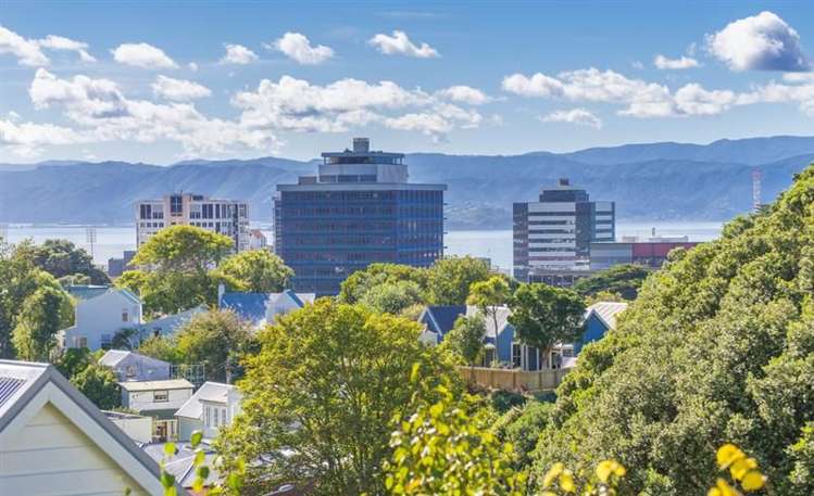 22 Patanga Crescent Thorndon_19