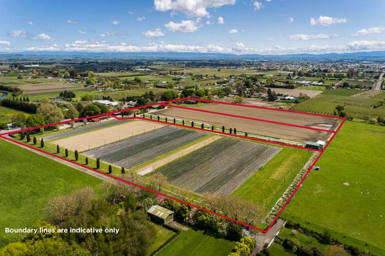 76, 96, 98 Havelock Road Havelock North_15