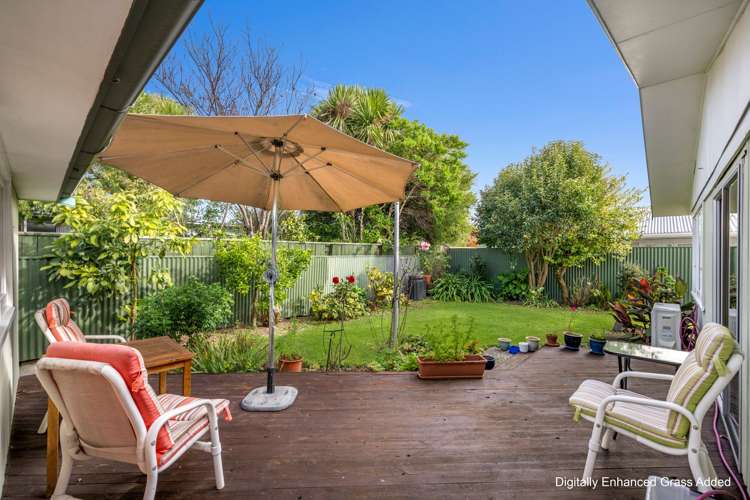 174A Vigor Brown Street Napier South_19