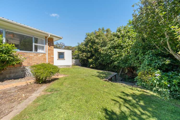 91 Manu Crescent Upper Vogeltown_22