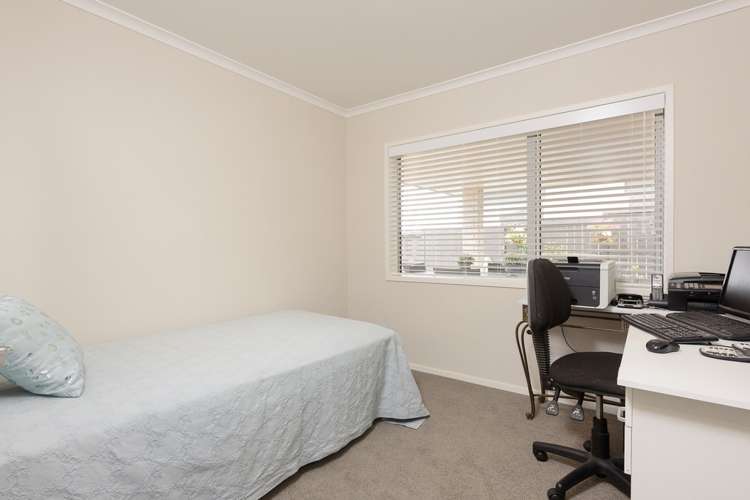 10 Celmisia Retreat Papamoa_6