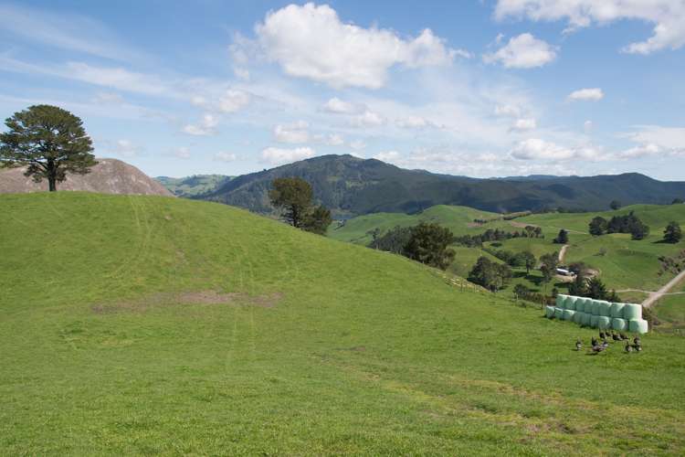 44 Coates Road Waikite Valley_6