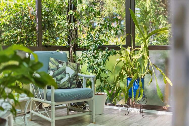 175a Centreway Road Orewa_9