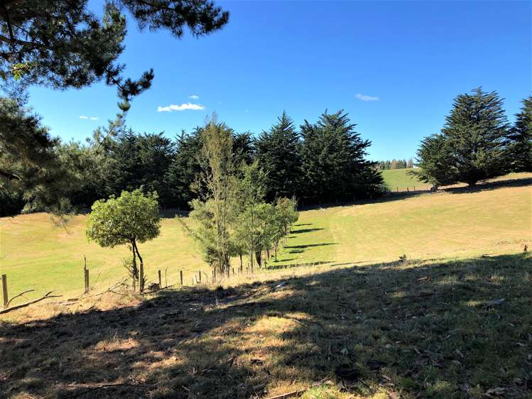 126 Johnston Road Balclutha_20