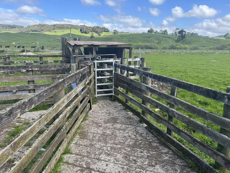 2858 State Highway 30 Benneydale_9