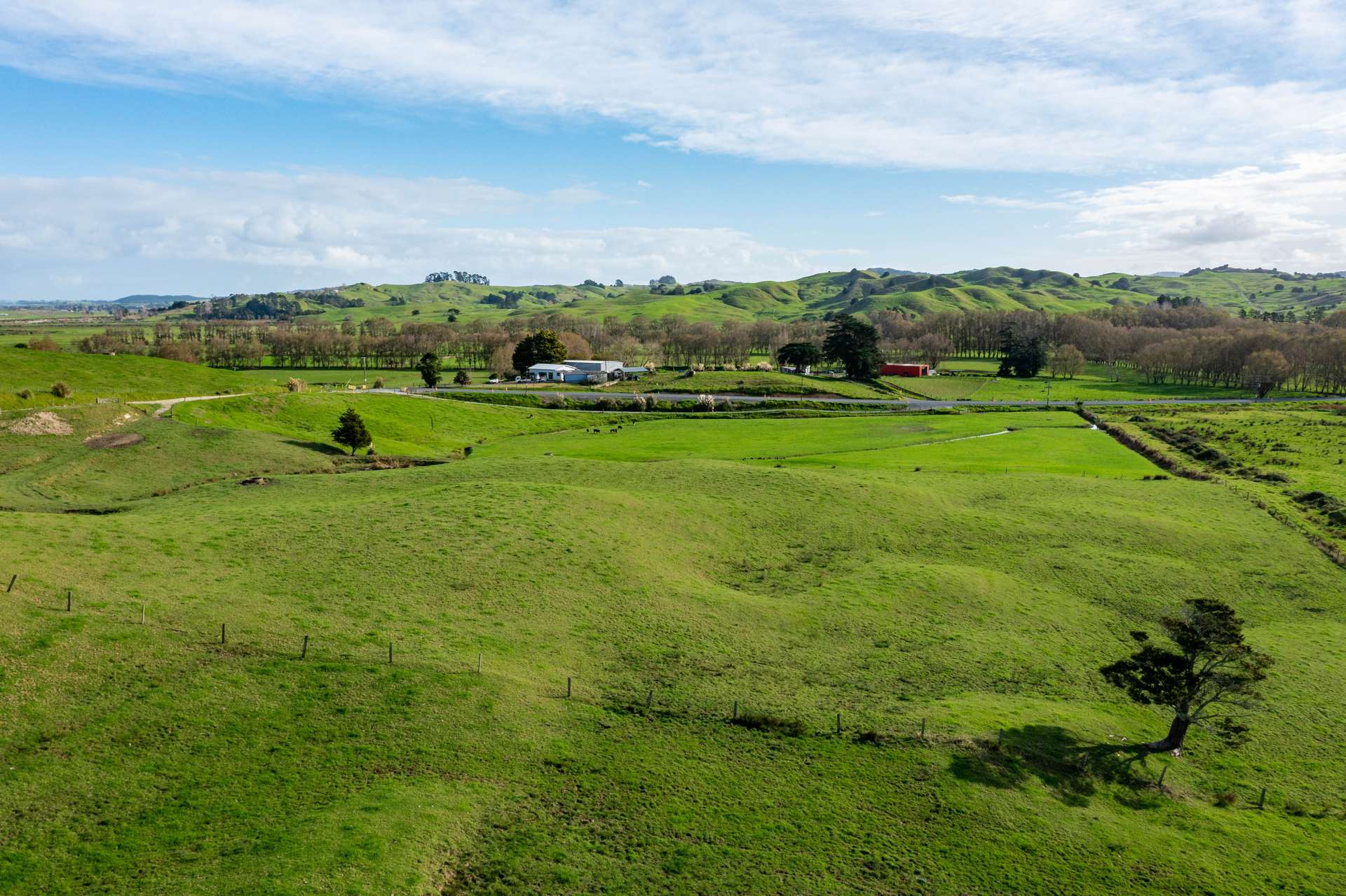 184 Tangowahine Valley Road Dargaville Surrounds_0