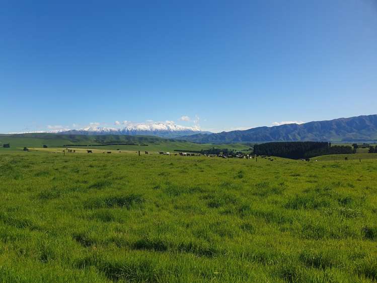 Lot 2 Cricklewood Rise Grants Road Kurow_8