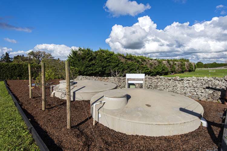 103 Millington Road Maunu_30