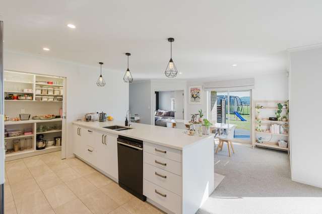 347a Bedford Road Te Kowhai_3