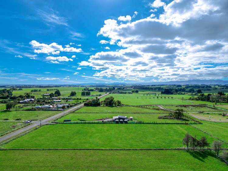 168a Nannestads Line Bunnythorpe_9