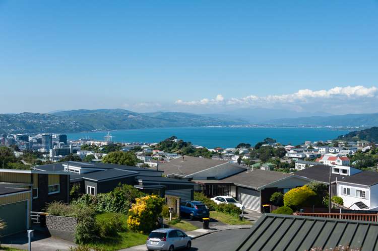 12 Atlanta Grove Brooklyn_5