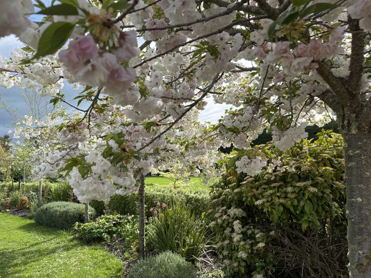 144 Loop Line Masterton_21