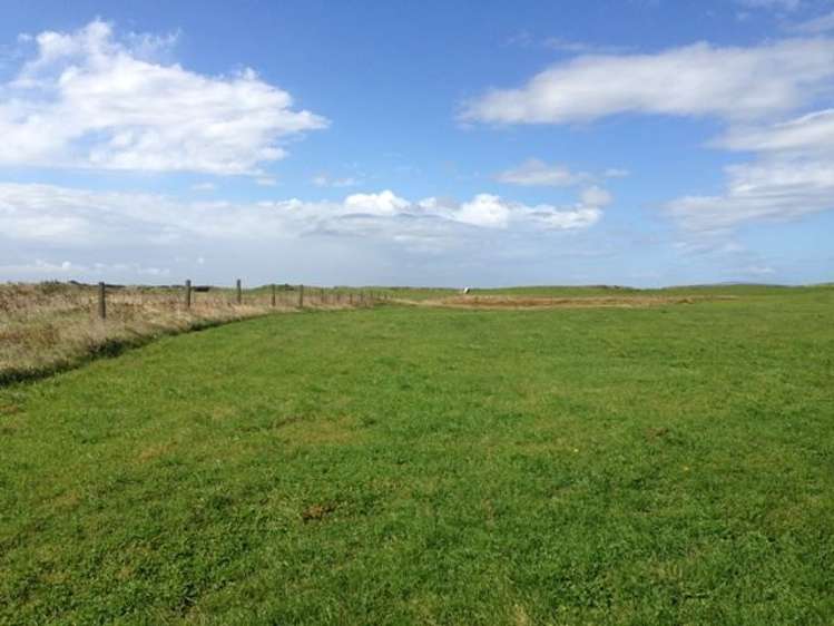 1110 Waimatuku Bush Road Taramoa_8